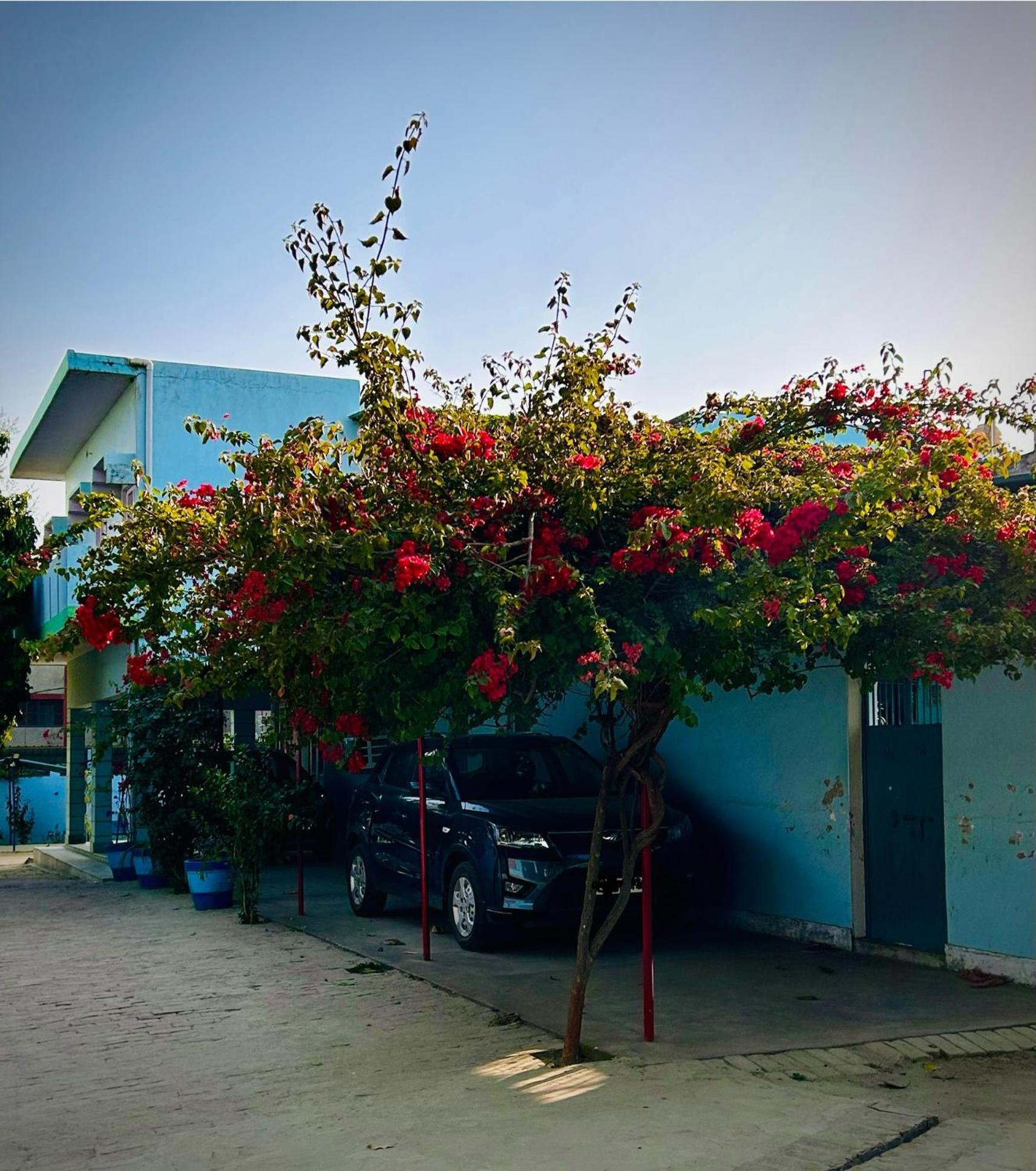 Ayodhya Gooseberry Gardenヴィラ エクステリア 写真