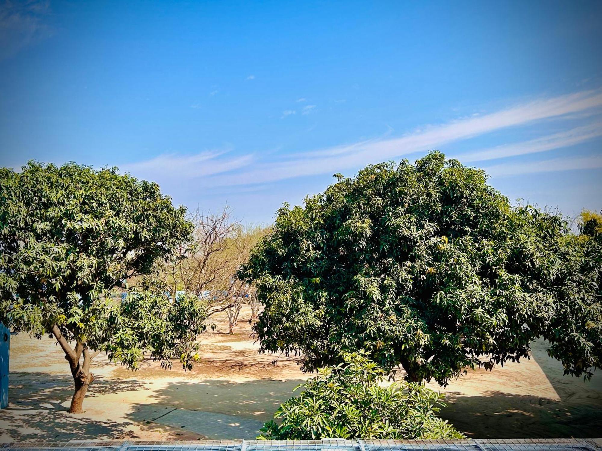 Ayodhya Gooseberry Gardenヴィラ エクステリア 写真