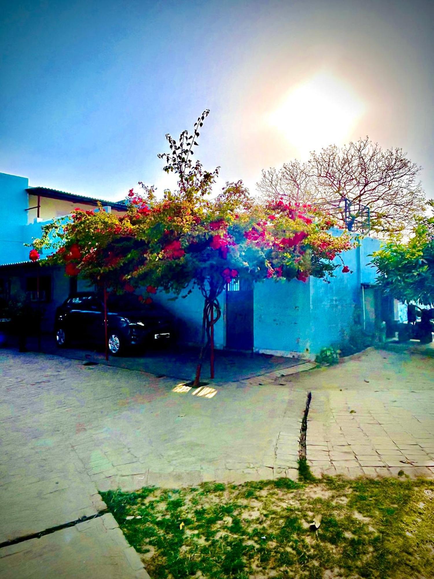 Ayodhya Gooseberry Gardenヴィラ エクステリア 写真